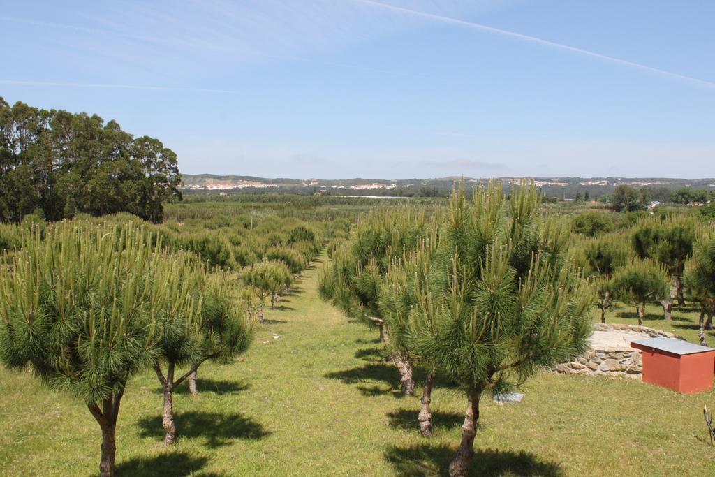 Quinta Das Soizas - Sao Martinho