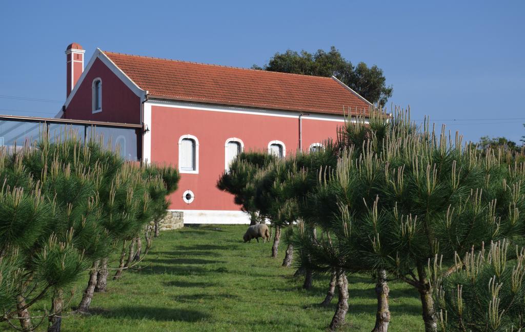 Quinta Das Soizas - Sao Martinho *