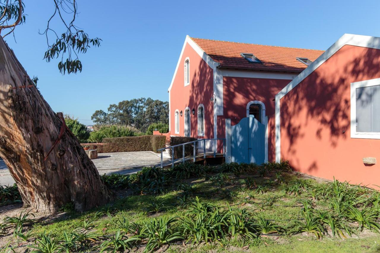 Quinta Das Soizas - Sao Martinho